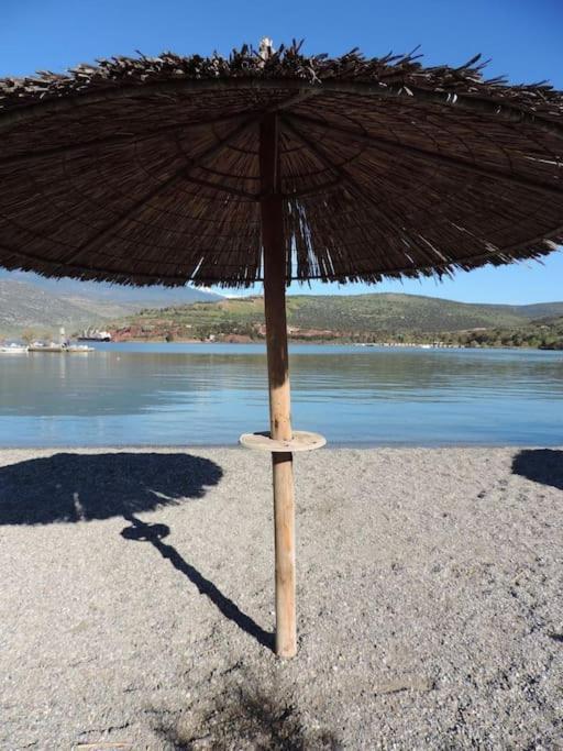 Seascape - Itea -Delphi Apartment Bagian luar foto